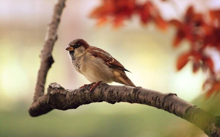 12306未完成订单(铁路12306没有退款详情正常吗)