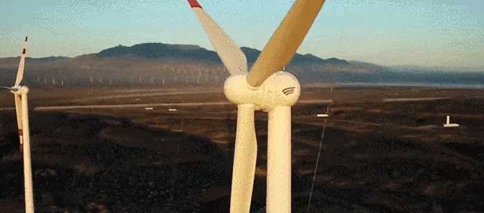 风力发电机的危害有多大？应该立即停止，还是要加大推广力度